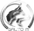 logo-saltom
